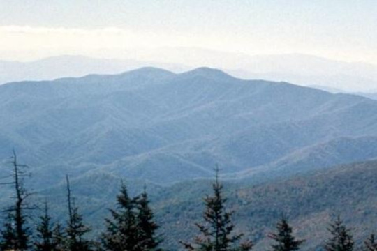 VISTAS for State, Local, and Tribal Agencies